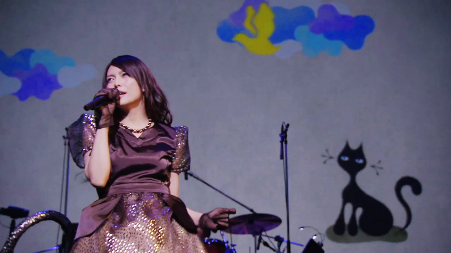 柴咲コウ Live Tour 2013「neko's live 猫幸音楽会」｜WORKS｜P.I.C.S.